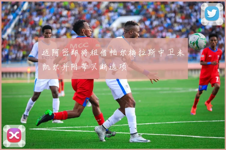 迈阿密即将租借帕尔梅拉斯中卫米凯尔并附带买断选项